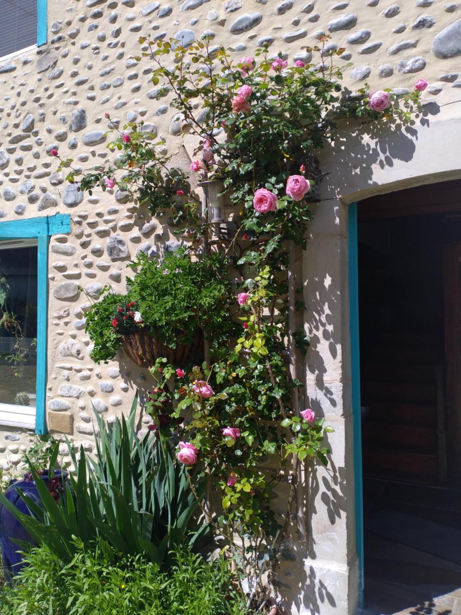 Maison Mignaquy Charritte-de-Bas Exteriör bild